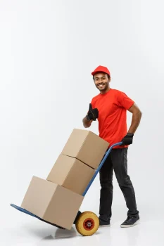 delivery-concept-portrait-handsome african-